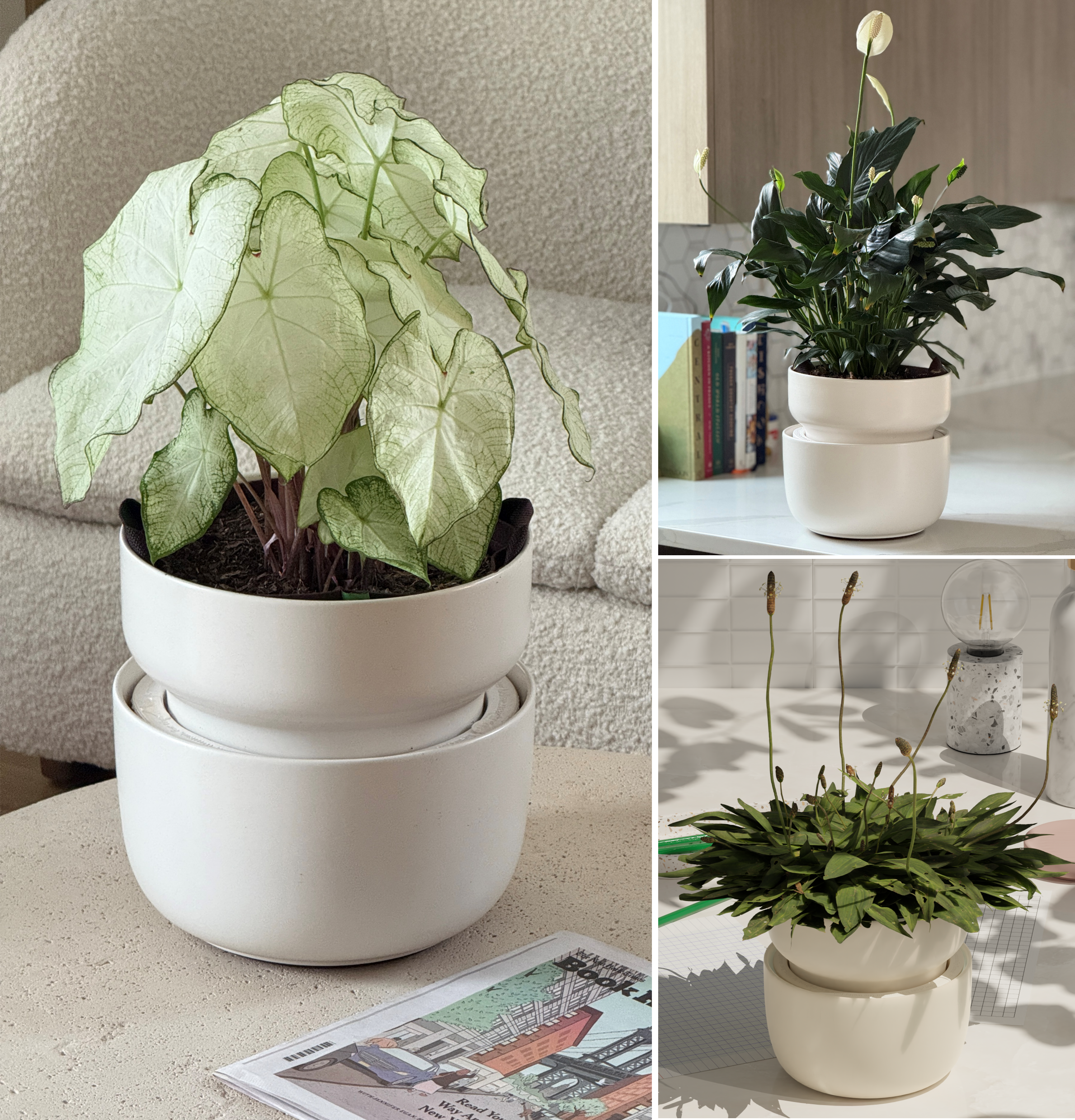 best place to buy pots for indoor plants The Tendril Planter