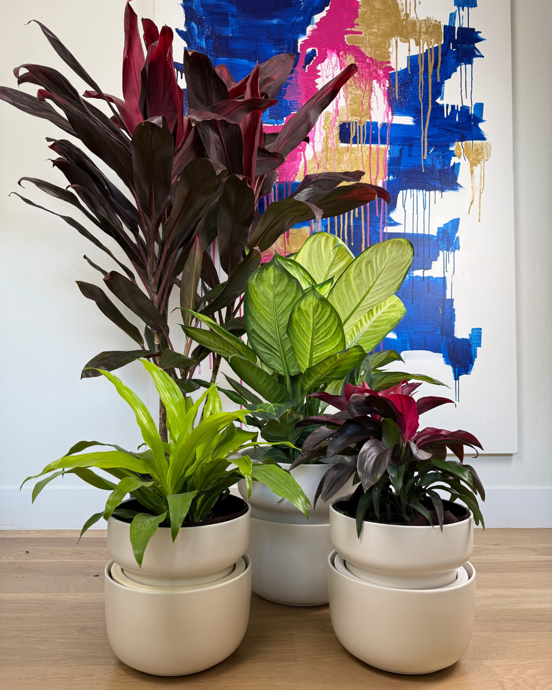 Grow a Lush Indoor Jungle Without the Stress
