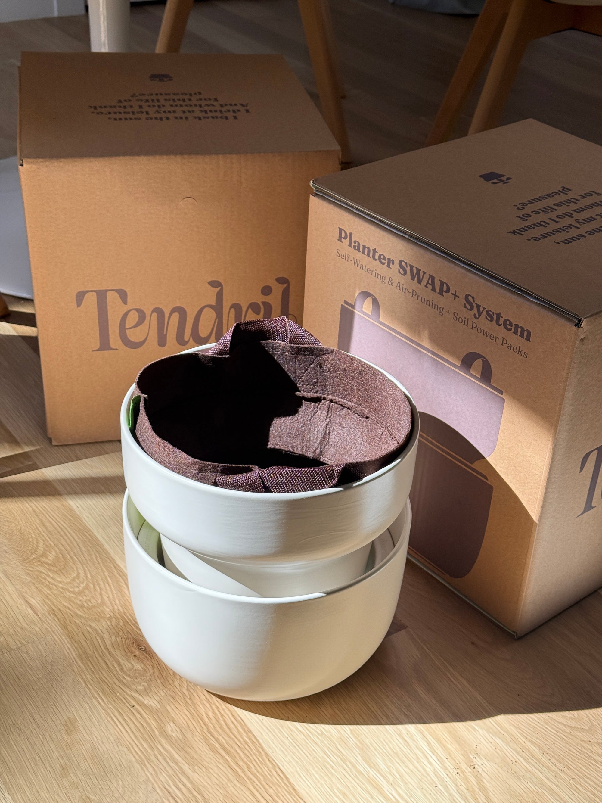 How to Choose Eco-Friendly Planters that Last