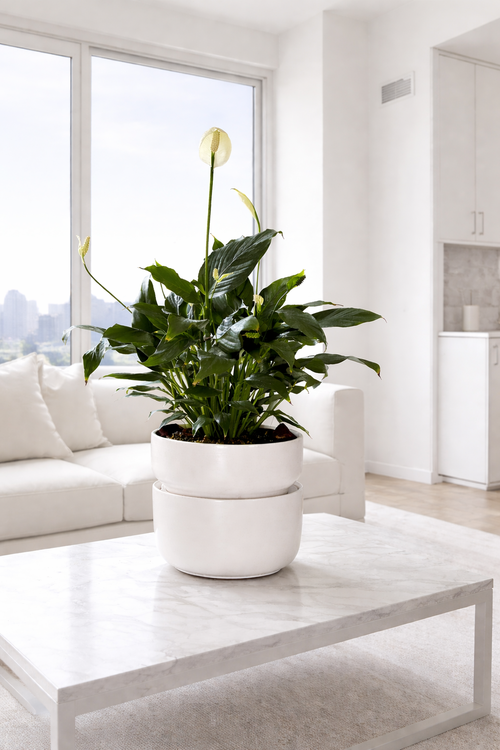 How Plants Keep Their Cool — and Why It Matters for Your Home