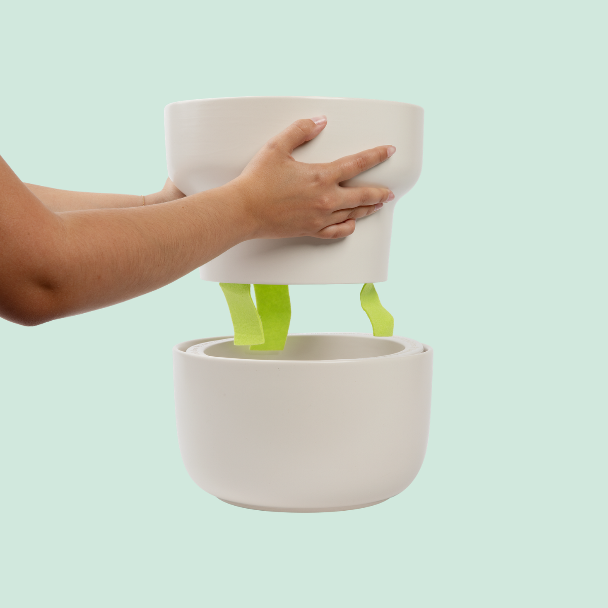 The Tendril Planter