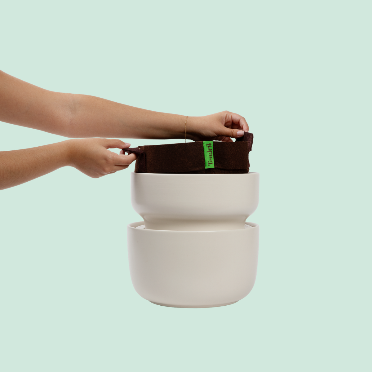 The Tendril Planter