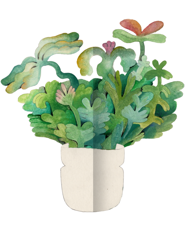 Something flowering